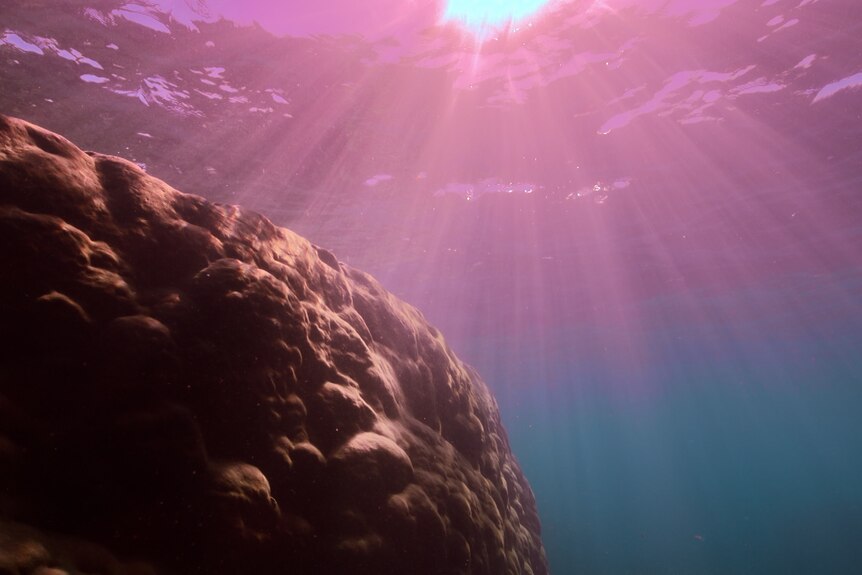 Purple blue light shines on rocky mound underwater.