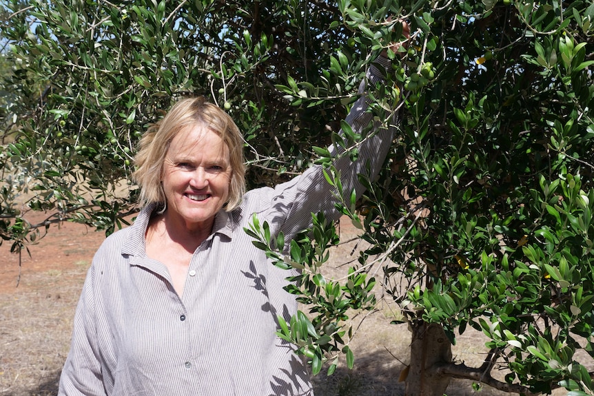A middle-aged woman stands in an olive grove, holding a branch of a nearby tree.