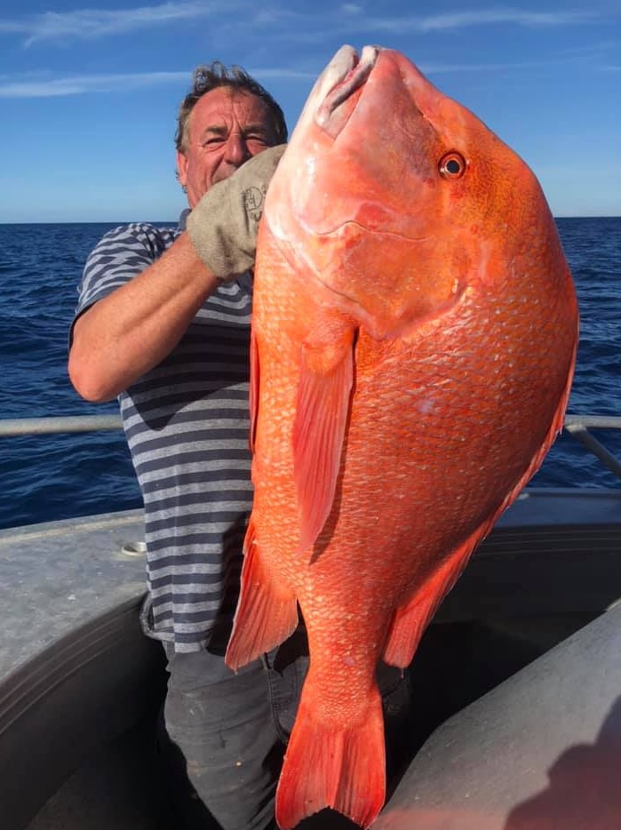 hombre en un bote que sostiene grandes peces de color rojo