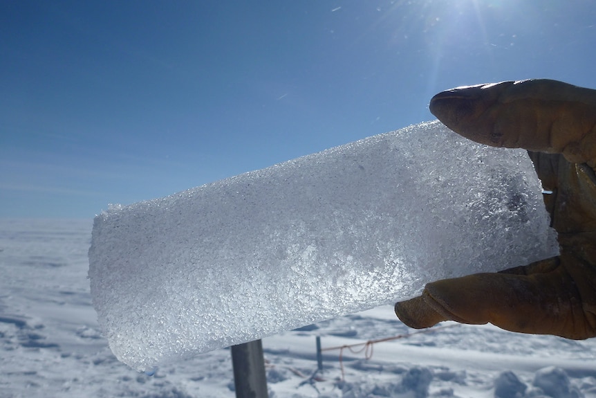 A hand holding an ice core