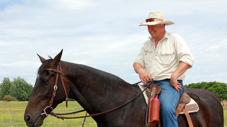 Stockman on a horse