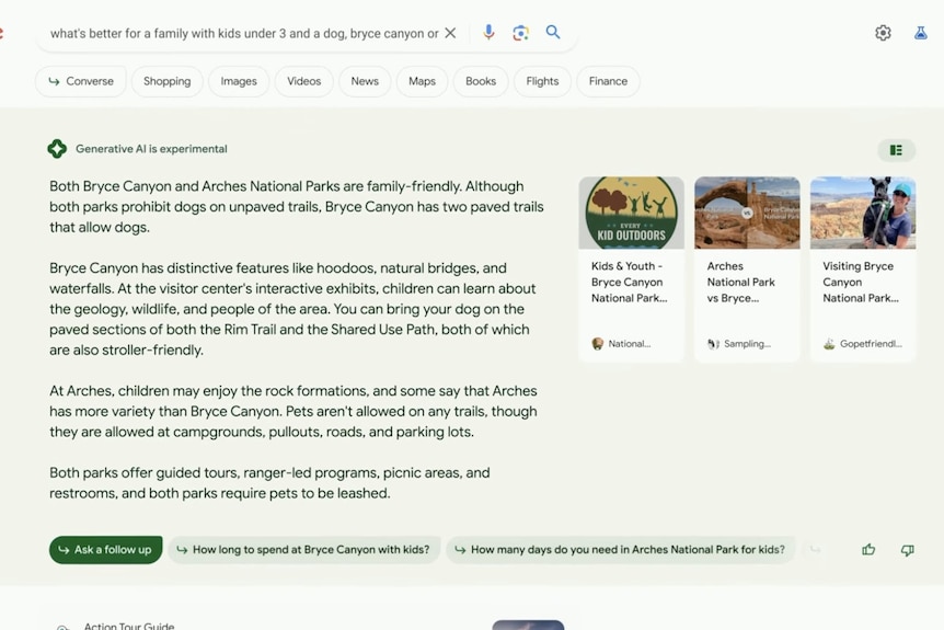 The Google AI snapshot being trialled for search results