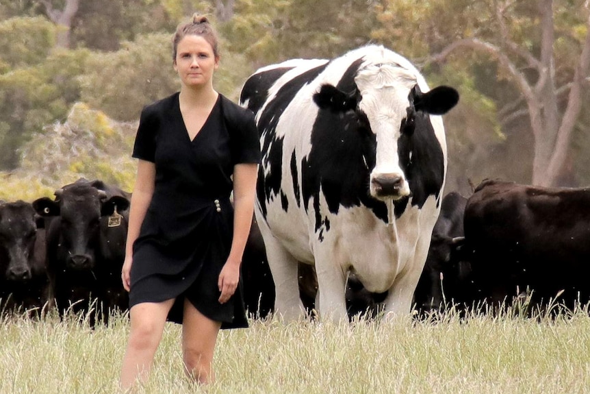 A woman in a black dress stands in front of a very large black and white cow among a group of smaller brown cows.