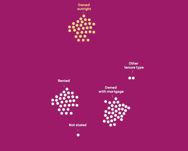 100 white dots in five groups - owned outright is highlighted