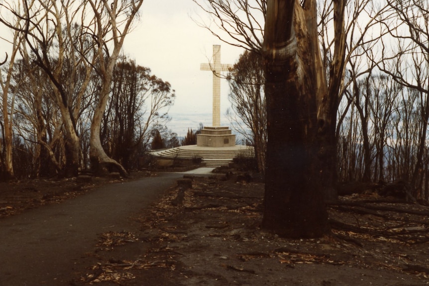 A prominent white cross stands on a stone plinth at a smoky lookout surrounded by fire-blackened gum trees