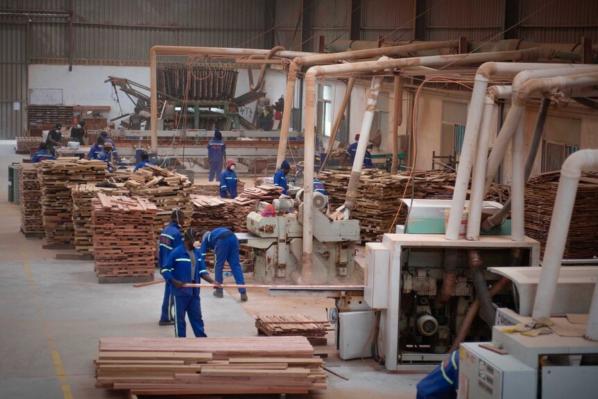 Workers on a factory floor are running timber through large machines and stacking planks