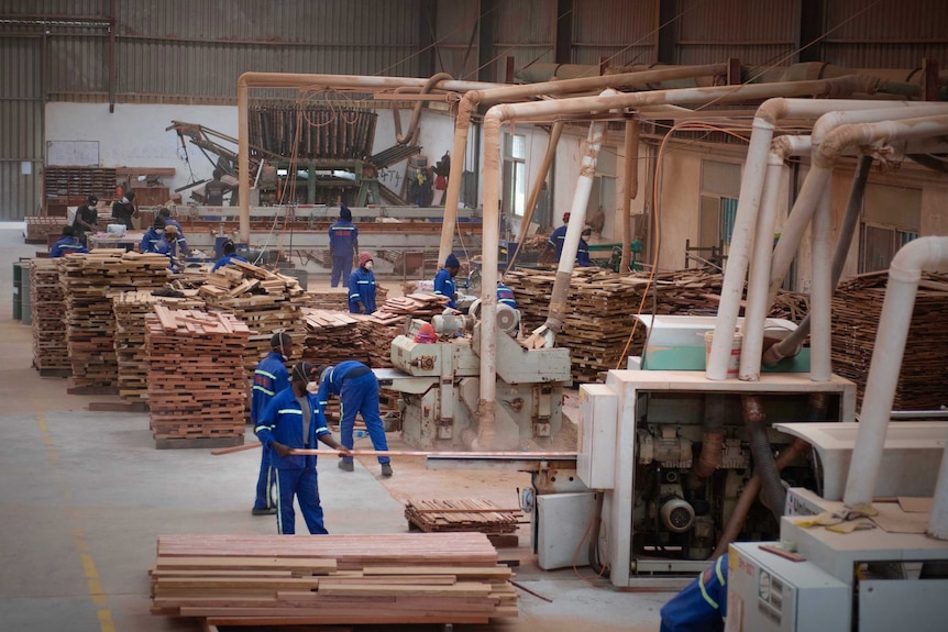Workers on a factory floor are running timber through large machines and stacking planks
