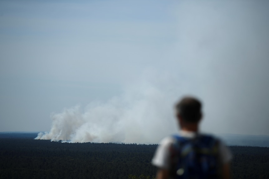 一名观察者看着从格伦瓦尔德大火中蔓延到地平线上的烟雾