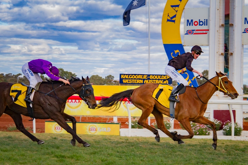 Two jockeys ride two racehorses to the finishing post.