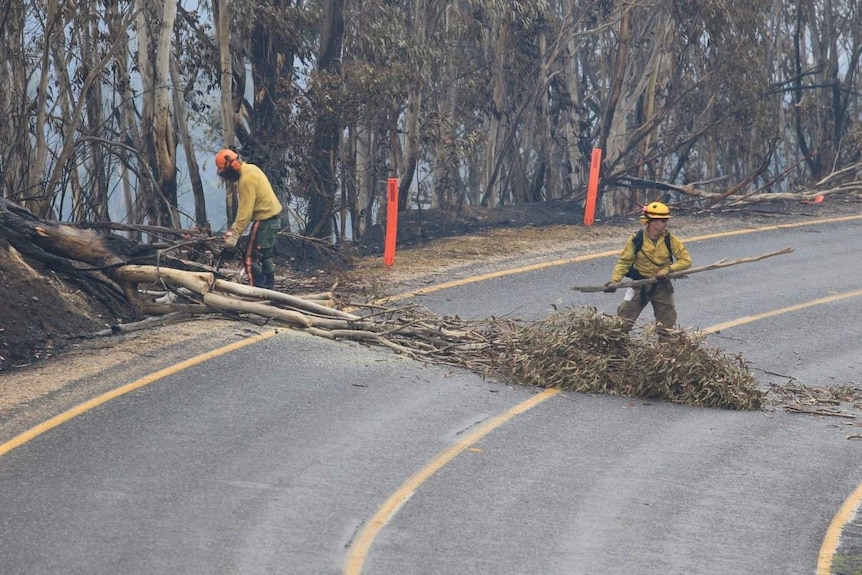 Two men work to clear a burnt tree which has fallen across a road.