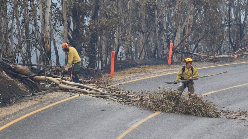 Two men work to clear a burnt tree which has fallen across a road.