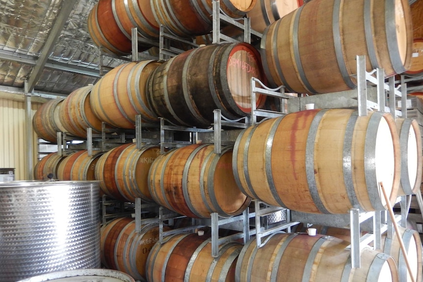 wine barrels in a shed in the Riverland