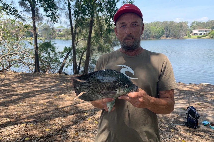Gold Coast Fishing Fanatic member Peter Ker holding pest tilapia fish he caught at Robina lakes