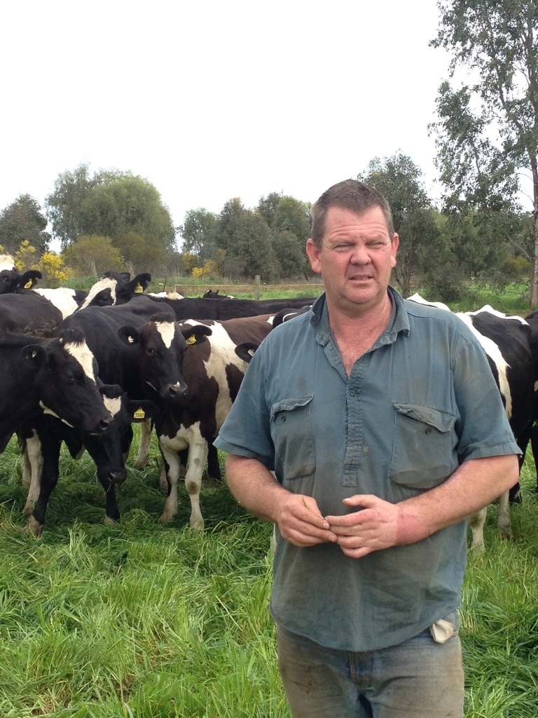 A man with short, dark hair wears a work shirt as he stands in front of a herd of cows on a farm.