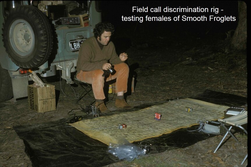 Field call discrimination rig testing females of smooth froglets