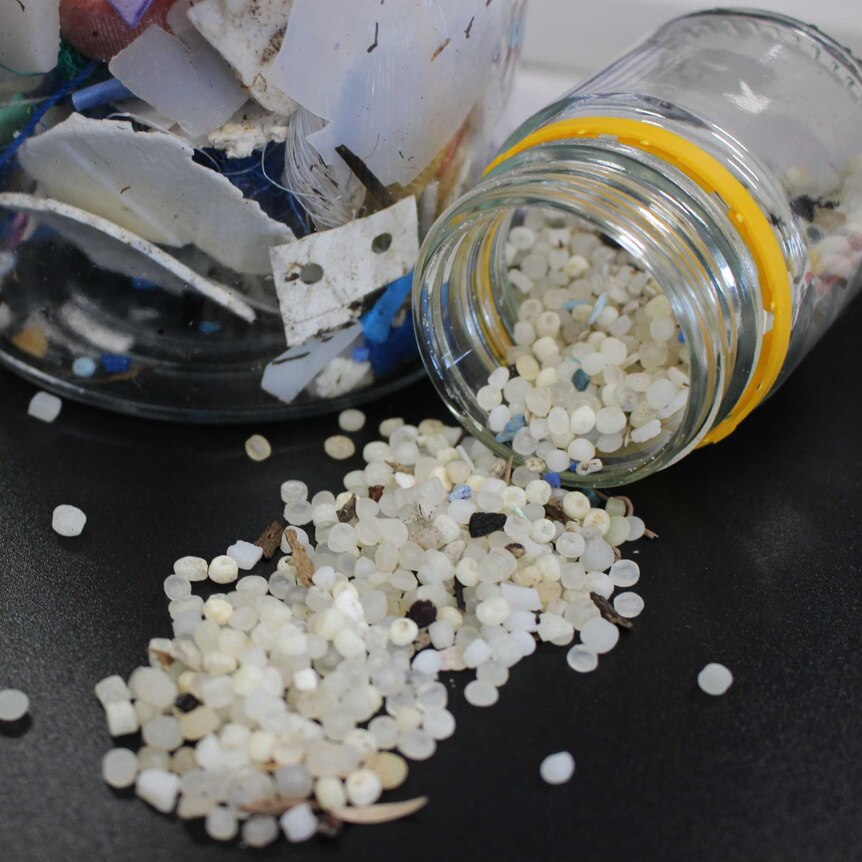 A jar full of micro-plastics laying on its side, spilled out onto a bench.