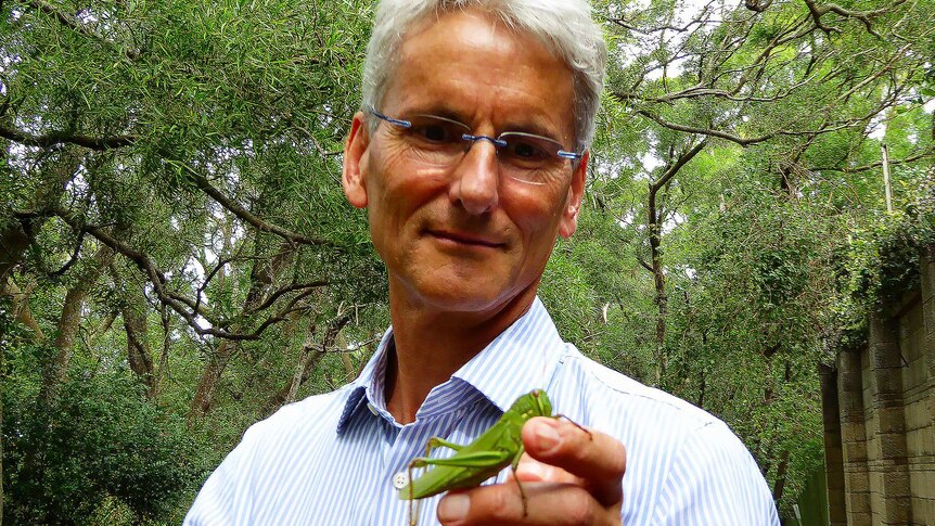Dr Allon holds a green grasshopper in front of a leafy background.