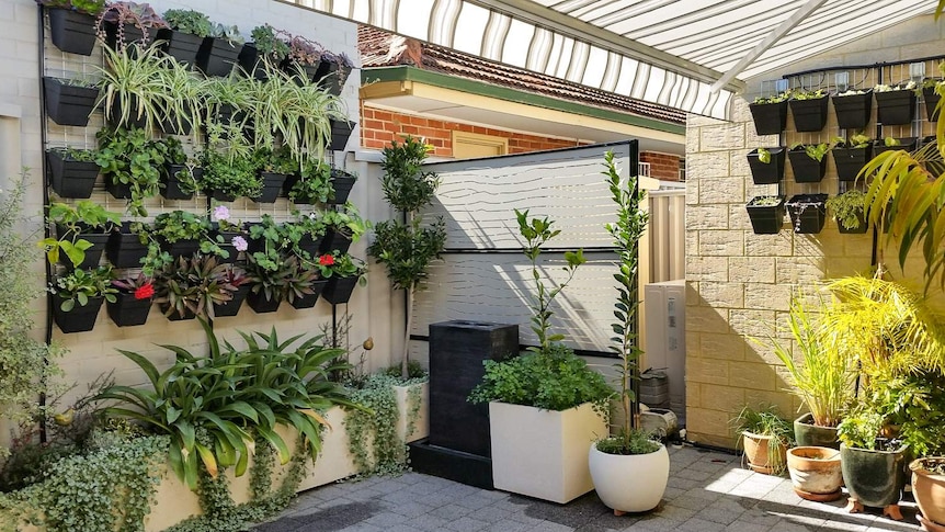 A transformed courtyard in a new unit in Perth