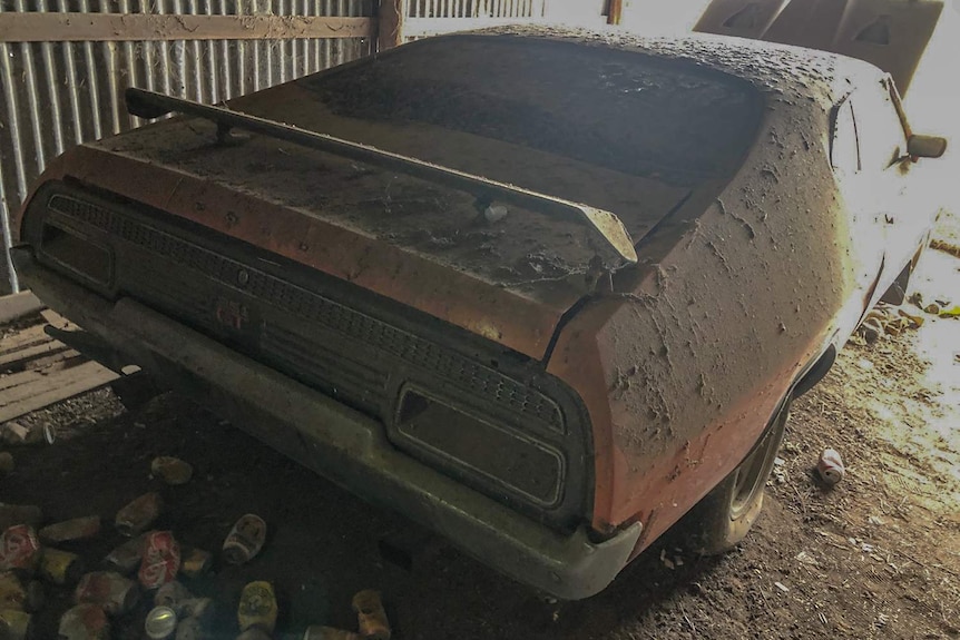 An extremely dusty, classic muscle car, seen from behind, in a farm shed.