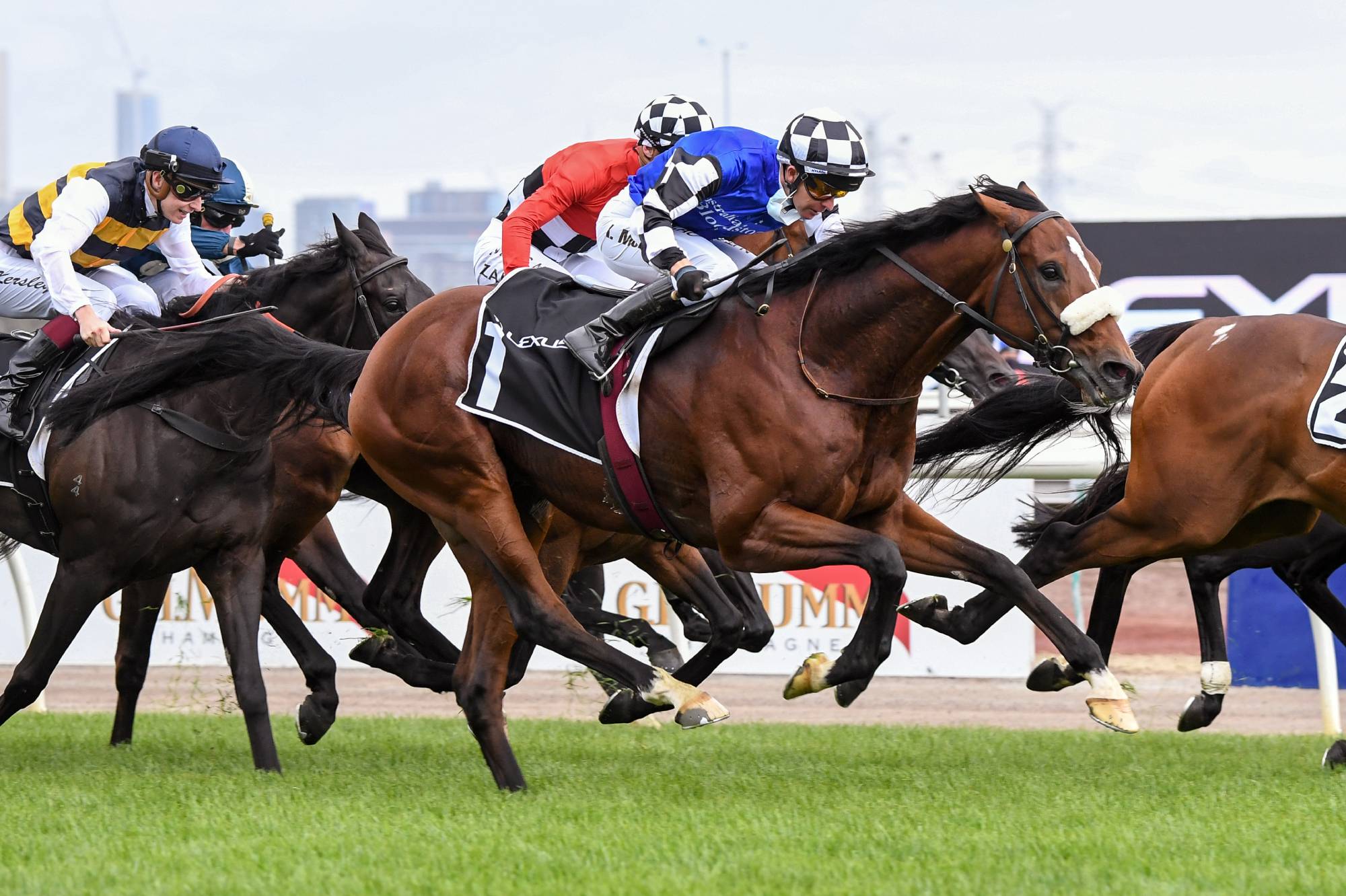 Melbourne Cup 2023 Field, Horses, Form Guide And Finishing Order - ABC News