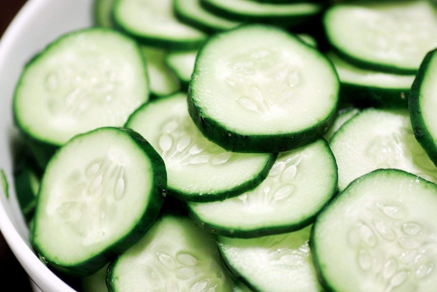 Cucumber to cost more after winds wipes out crops