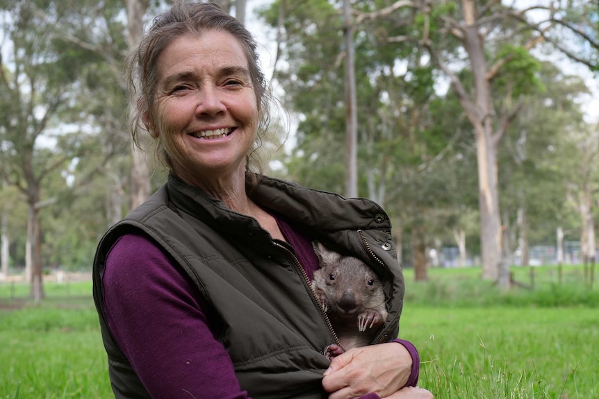 Wildlife carer Tania Clancy holds a baby wombat in her jacket at her Southern Highlands sanctuary