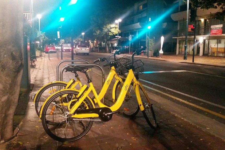 Ofo bikes parked on the roadside, ready for use in Adelaide's CBD.