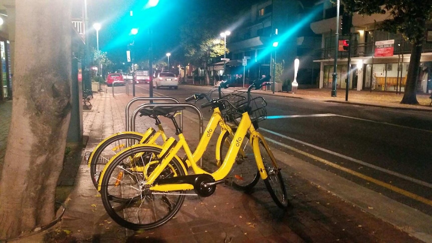 Ofo bikes parked on the roadside, ready for use in Adelaide's CBD.