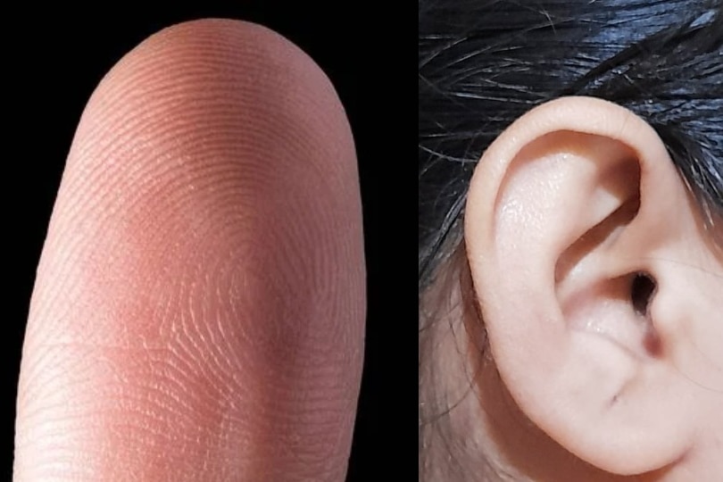A fingertip on the left and an ear on the right.