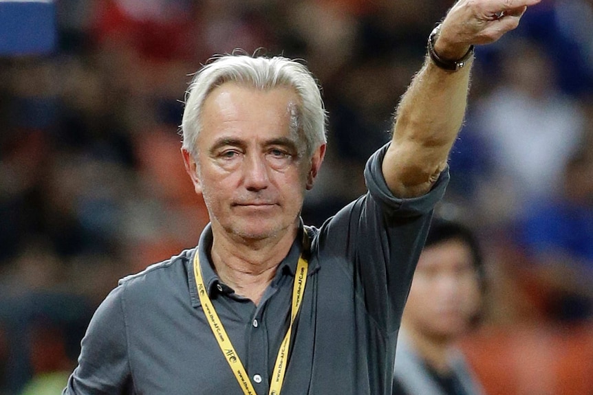 Saudi Arabian coach Bert Van Marwijk instructs his players against Thailand on March 23, 2017.