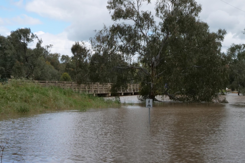 A bridge over floodwaters