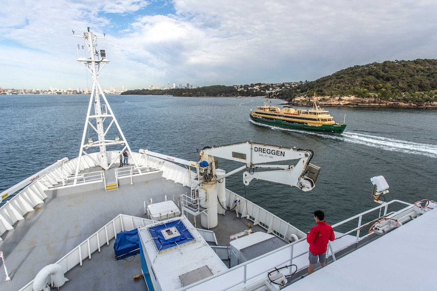 The RV Investigator sails past a Sydney ferry.