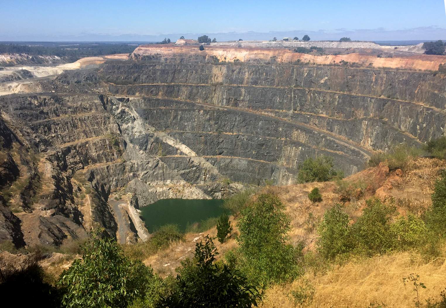 Conservation Group Helping Nature Reclaim WA's Oldest Mine Site At ...