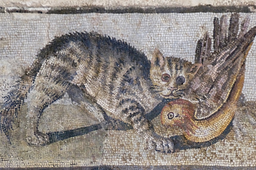 A tabby cat mosaic from ancient Rome, showing the cat catching a bird.