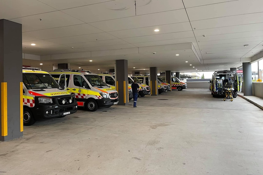 Los paramédicos esperan en el Hospital de Sydney