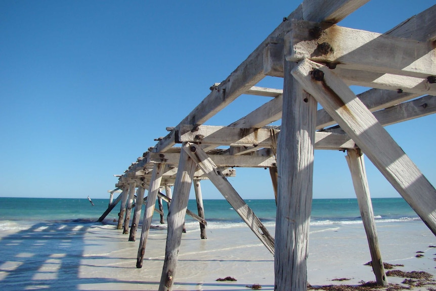 Timbers from an old jetty jut into a blue sea on a clear day