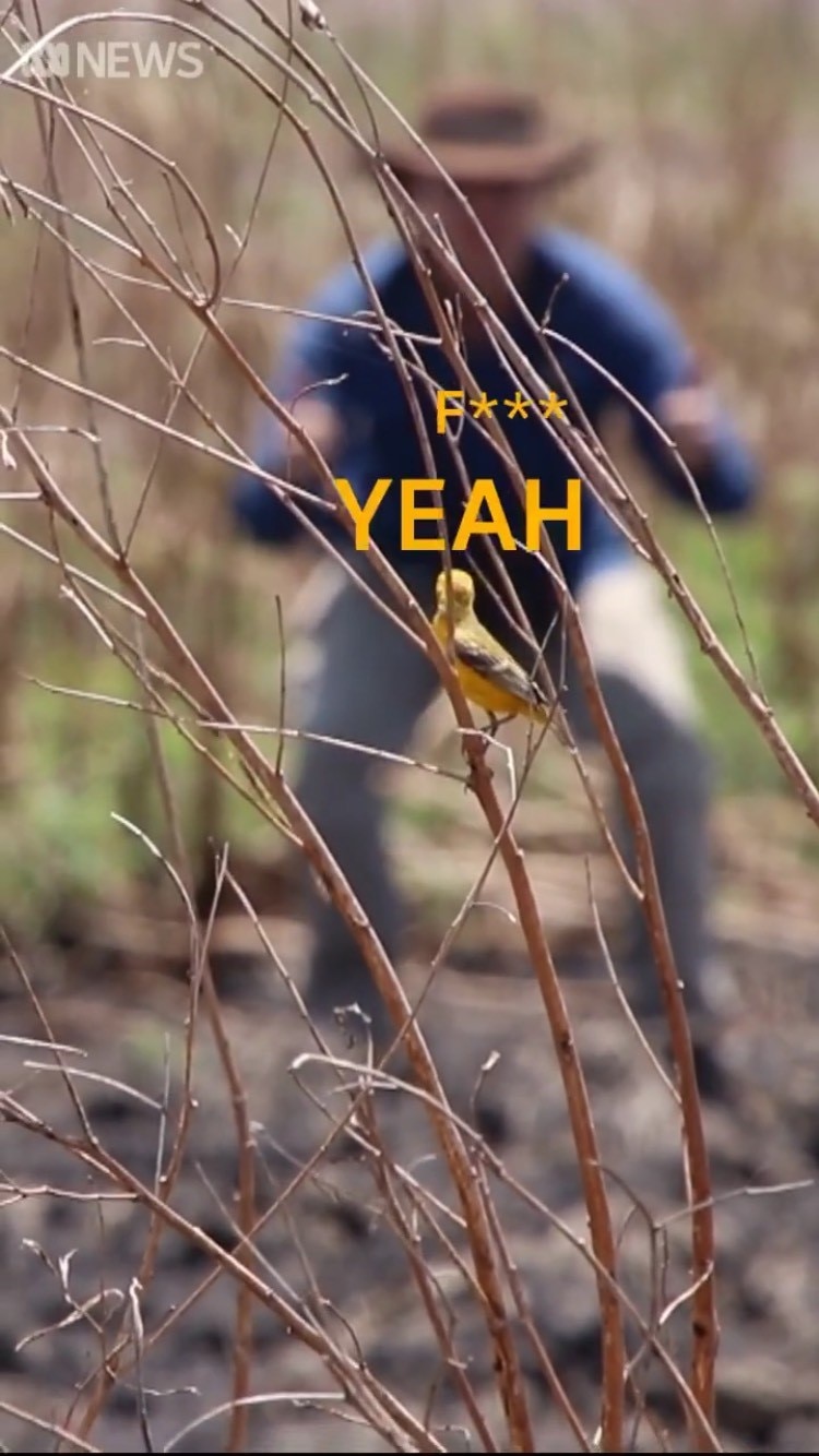 Still frame of yellow bird on branch with man blurred in background doing thumbs up and F*** Yeah written in yellow.