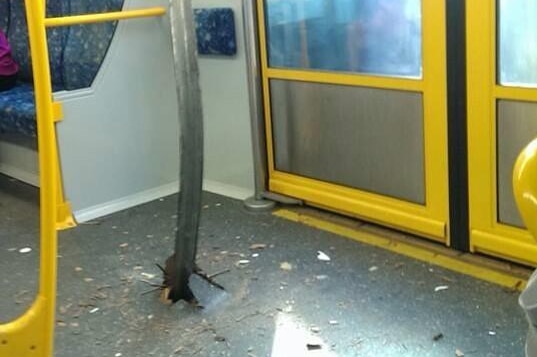 A metal rod pushed through the floor in the third carriage.