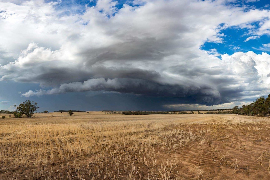 Thunderstorms hit the Great Southern