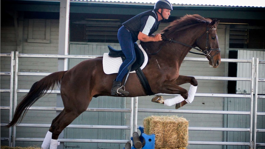 Hundreds of former race horses have graduated from St Heliers rehabilitation program.