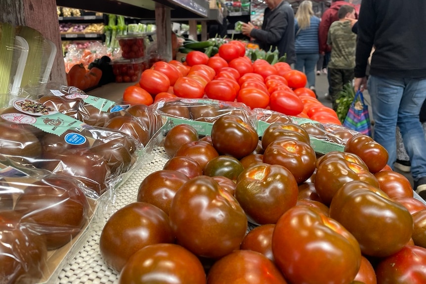 different types of tomatoes in market trays