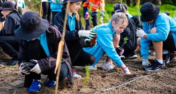 Widespread benefits of school forest plots