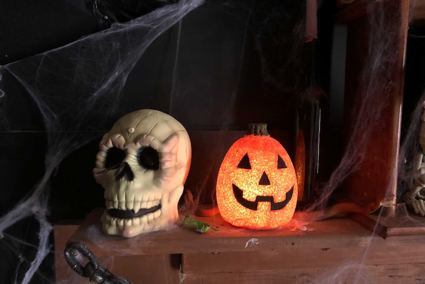 A skull and jack o lantern in a haunted house.