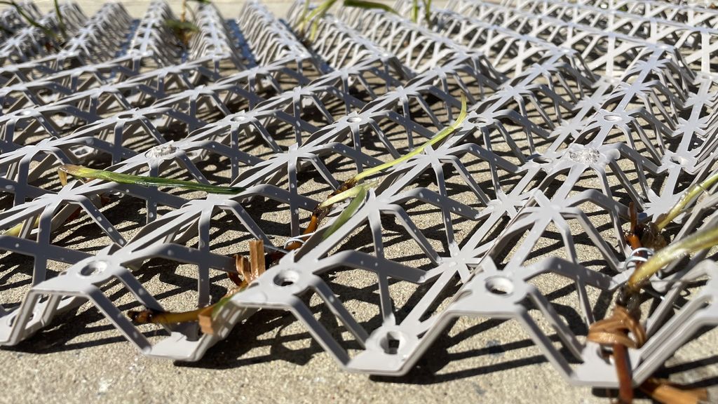 Mourilyan Harbour 4858 Location ABC News