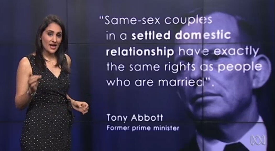 Fact check Do same-sex couples in a settled domestic relationship have the same rights as married couples? photo