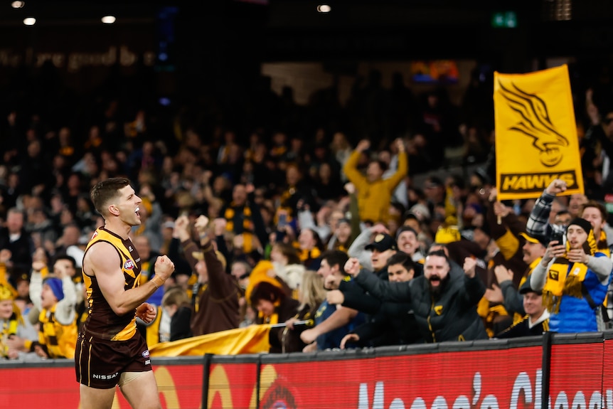 Luke Bruest pumps his fist while looking into a crowd of celebrating Hawthorn fans