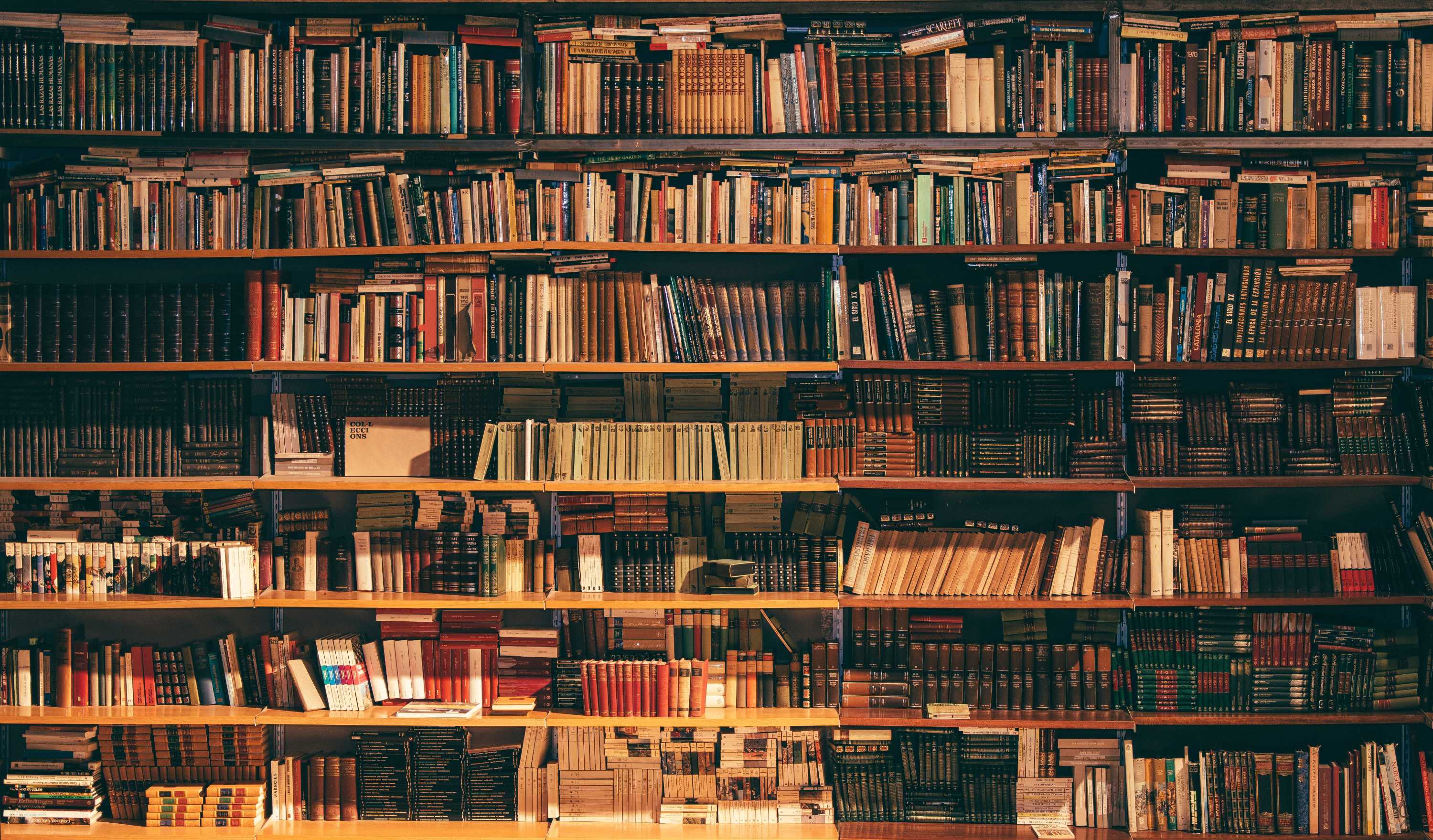Mark Brandi's Wimmera, Steven Camden's Nobody Real, Han Kang's The White Book, Holly Ringland's The Lost Flowers of Alice Hart and reading Muriel Spark episode artwork