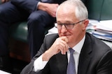 Malcolm Turnbull sits in the House of Representatives with a slight grin, holding his bent index finger against his chin.
