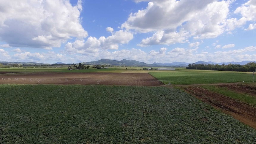 Green fields of vegetables from the air on Queensland's Scenic Rim