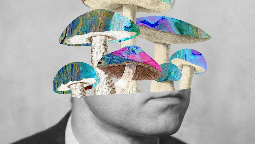 Collage of multi-coloured mushrooms sprouting from the bottom half of a man's head. The top of his head is missing.